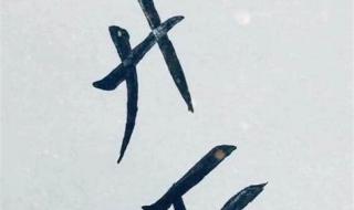 serendipity是什么意思