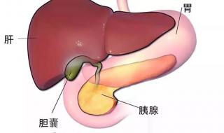 胆囊结石不能吃什么