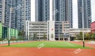 深圳市南山实验学校