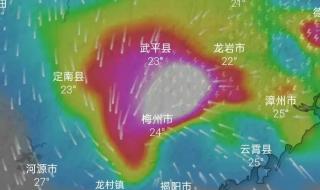 台风登陆:狂风大作